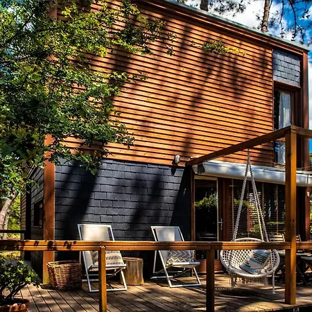 B1 Em Fao - By Ana Ferro *