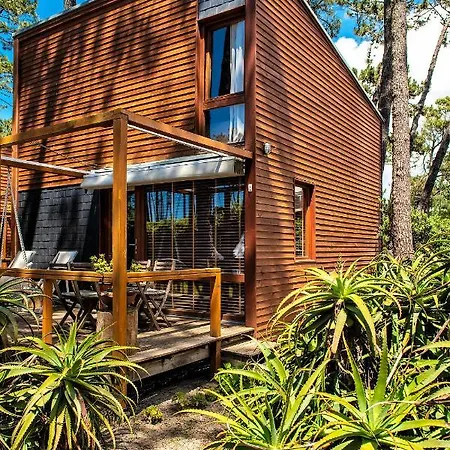 B1 Em Fao - By Ana Ferro 오피르