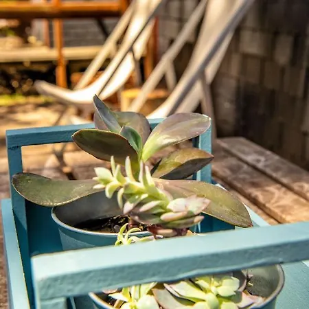 B1 Em Fao - By Ana Ferro Semesterbostad *