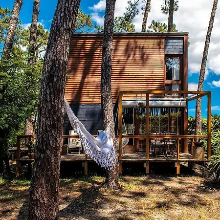 B1 Em Fao - By Ana Ferro *