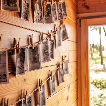 B1 Em Fao - By Ana Ferro * Ofir