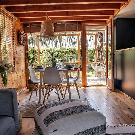 B1 Em Fao - By Ana Ferro Ofir