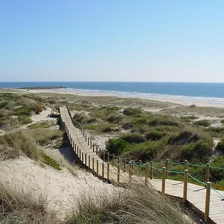 B1 Em Fao - By Ana Ferro Ofir