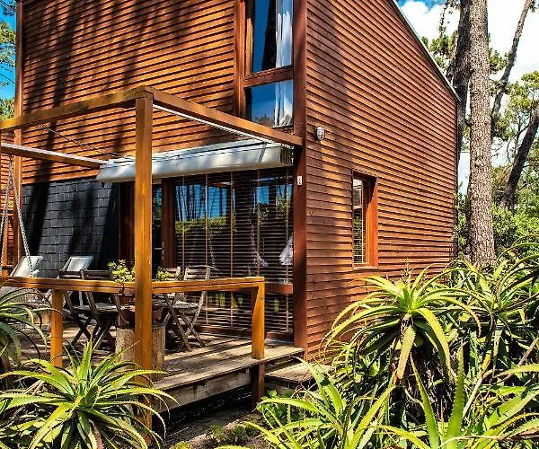 B1 Em Fao - By Ana Ferro Ofir