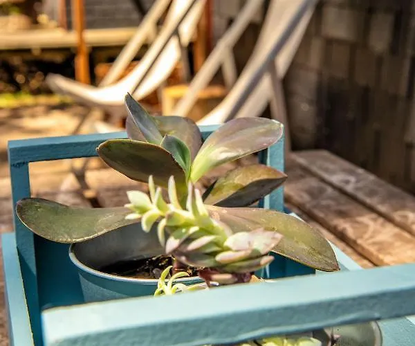 B1 Em Fao - By Ana Ferro Vakantiehuis *