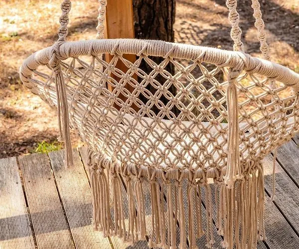 B1 Em Fao - By Ana Ferro 오피르