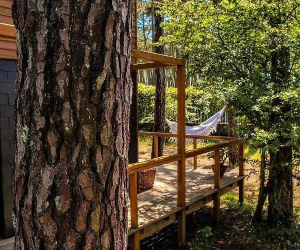 B1 Em Fao - By Ana Ferro 펜션 오피르