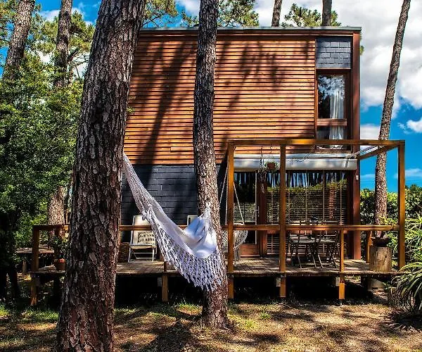 B1 Em Fao - By Ana Ferro *