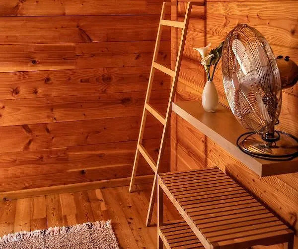 B1 Em Fao - By Ana Ferro *