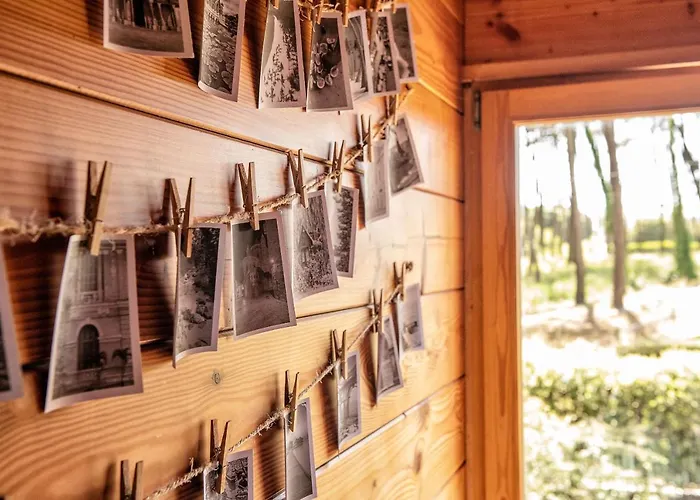 B1 Em Fao - By Ana Ferro * Ofir