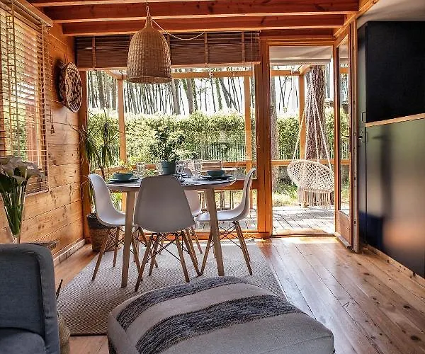 B1 Em Fao - By Ana Ferro 오피르