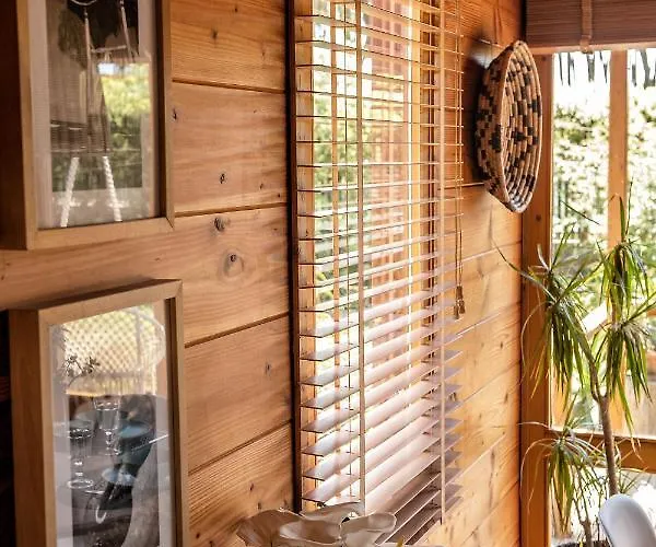 B1 Em Fao - By Ana Ferro * Ofir