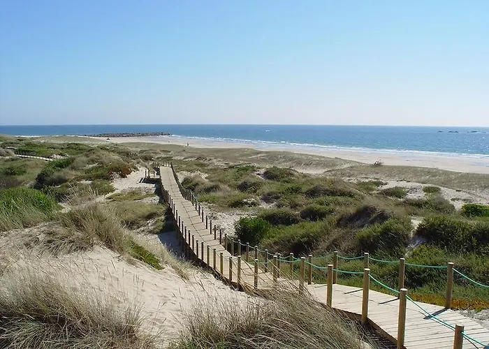 B1 Em Fao - By Ana Ferro Ofir